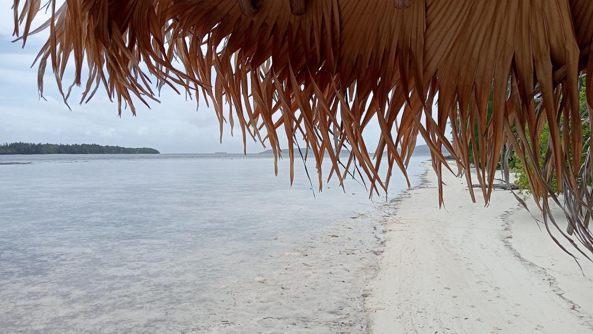 Coco Huts Guest House Waisai Rum bild